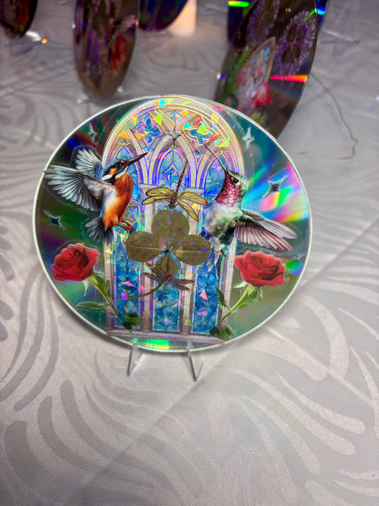 cd unique oiseaux