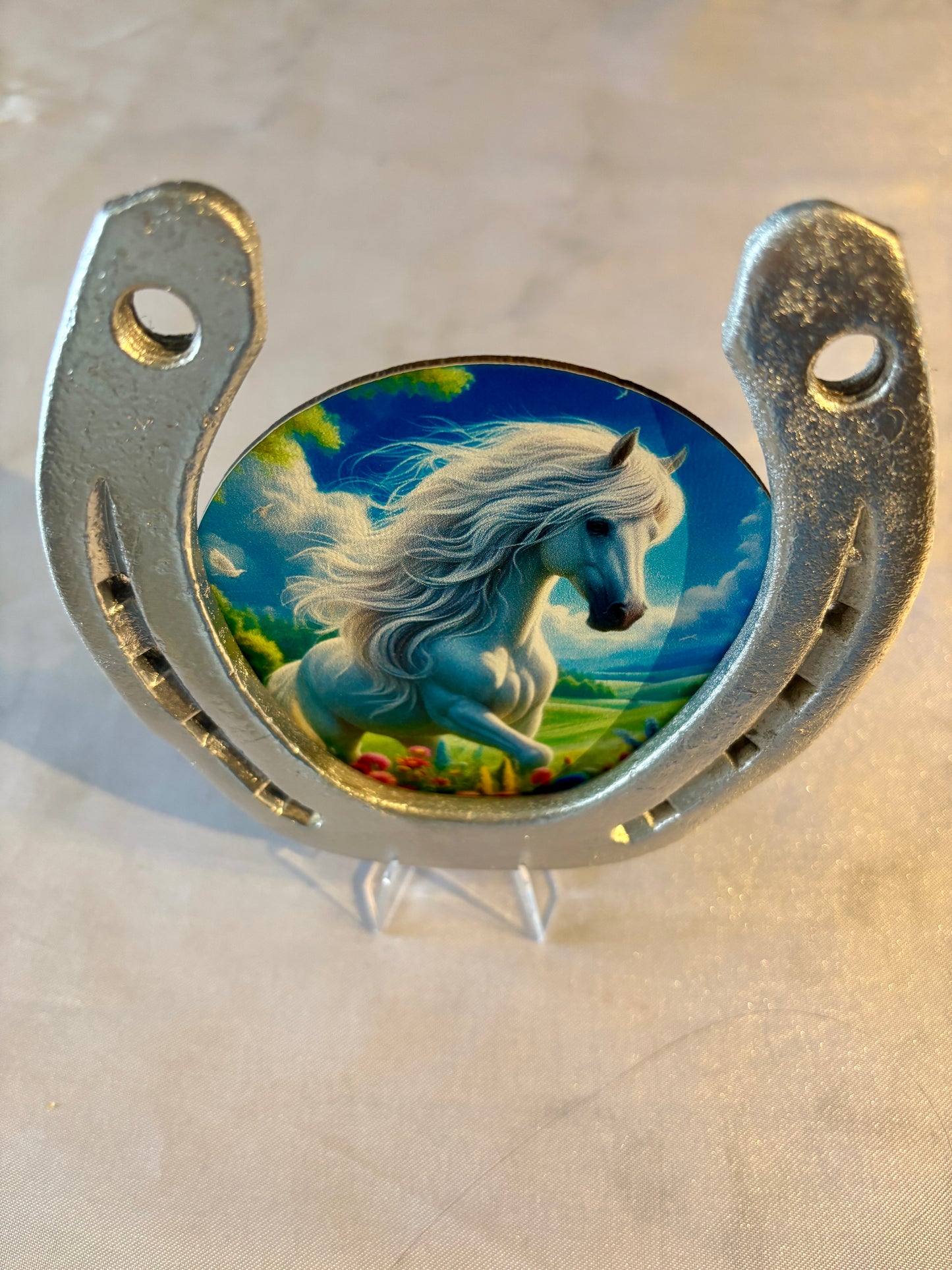 fer à cheval