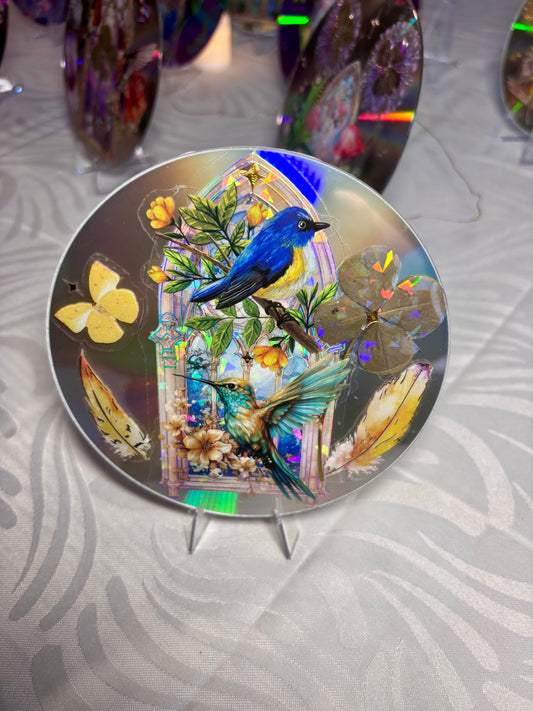 cd et ses oiseaux