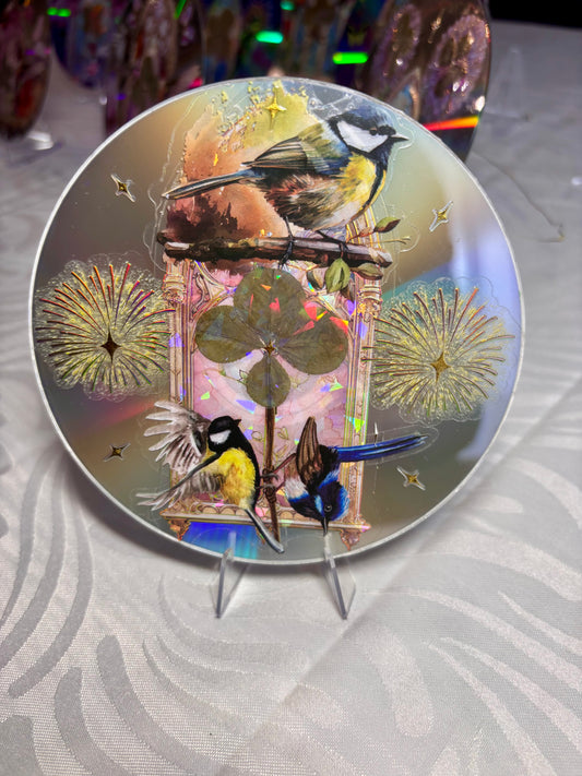 cd oiseaux