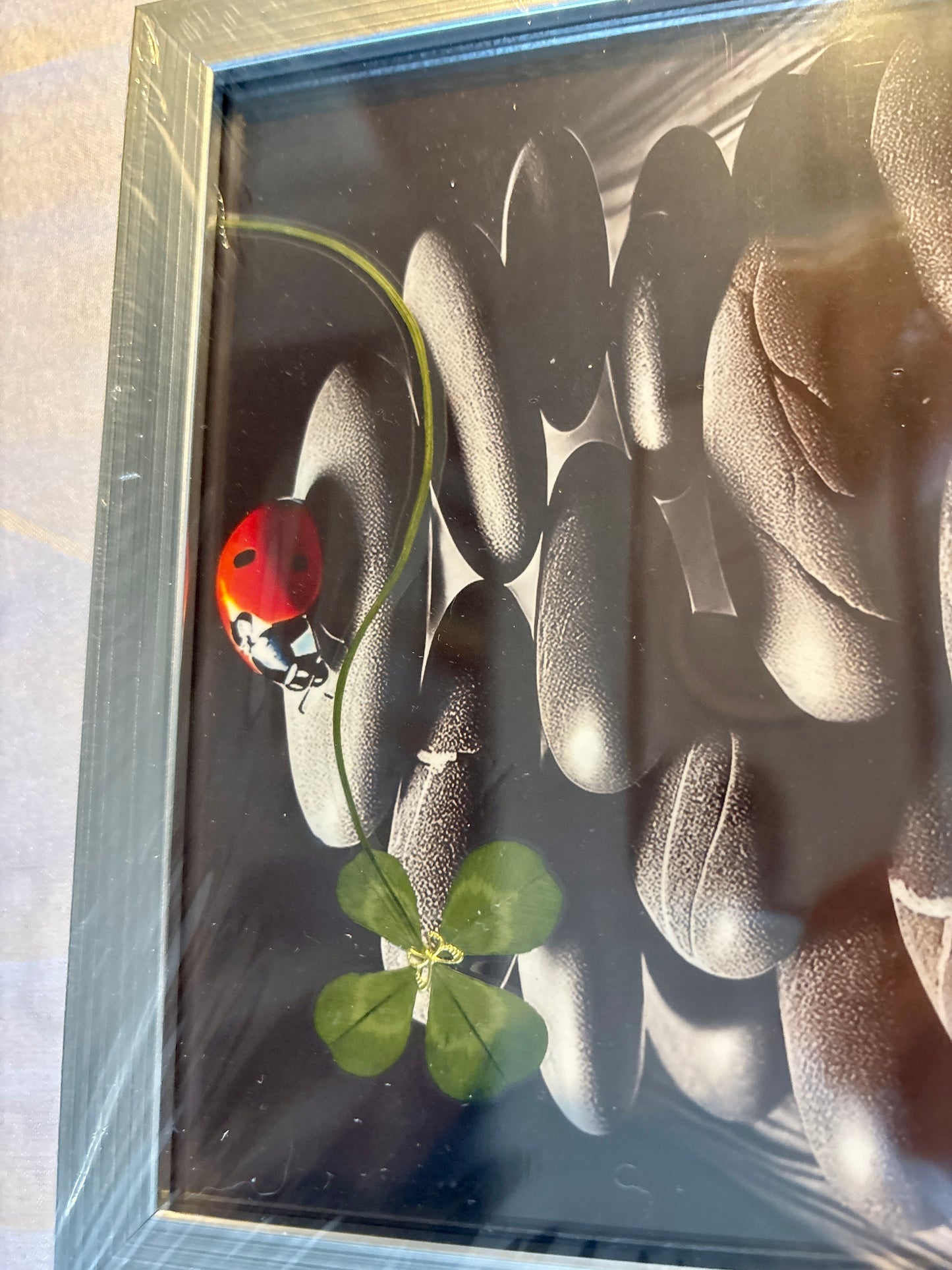 cadre trèfle à quatre feuilles /format A5coccinelle , porte bonheur