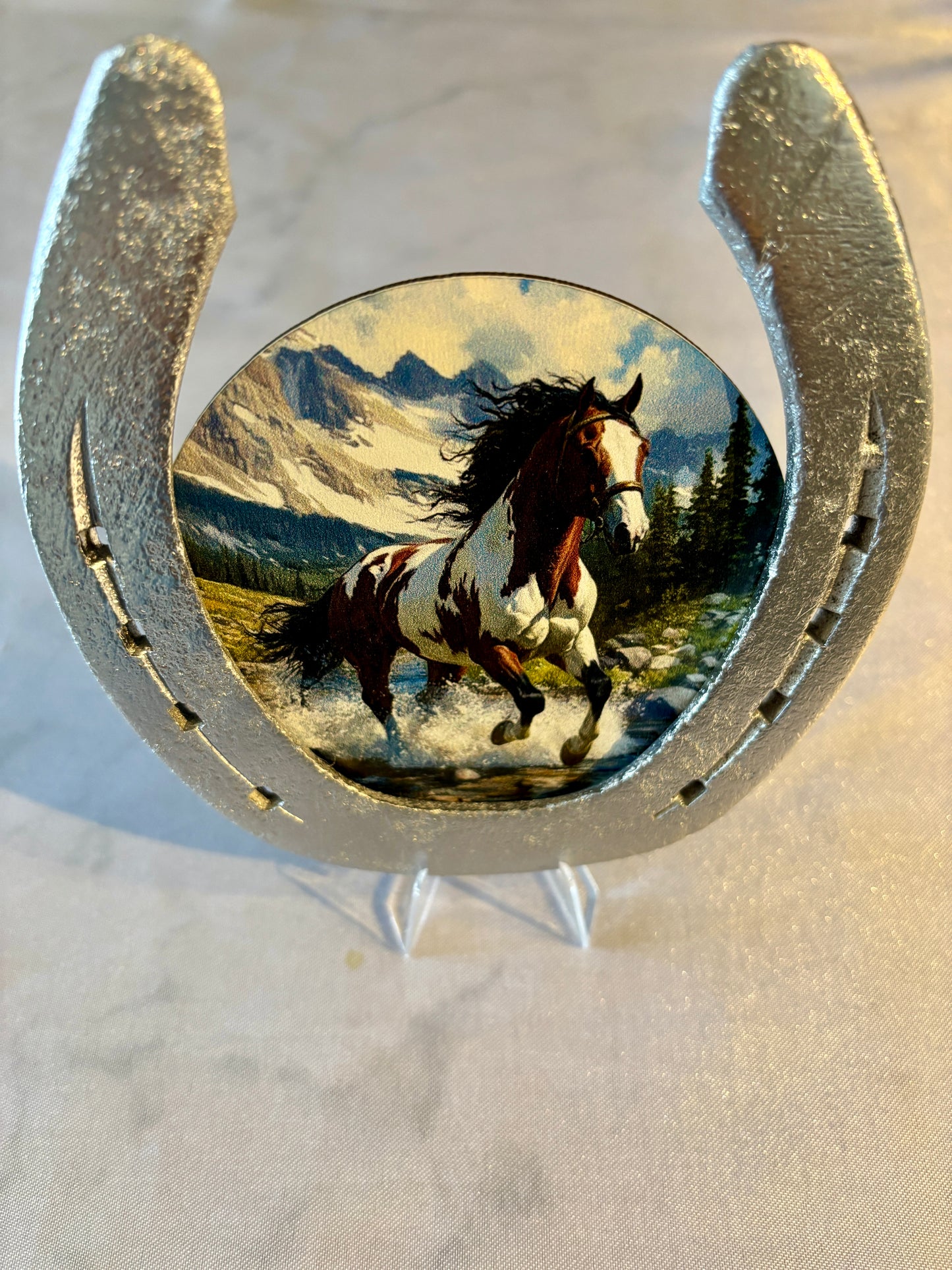 Fer à cheval / cheval