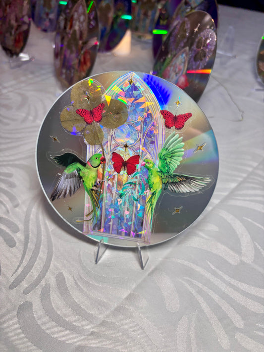 cd avec ses perroquets