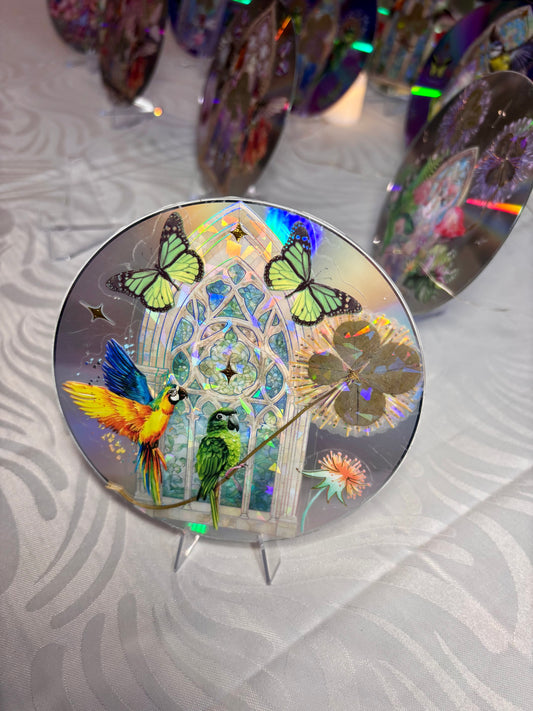 cd avec ses perroquets