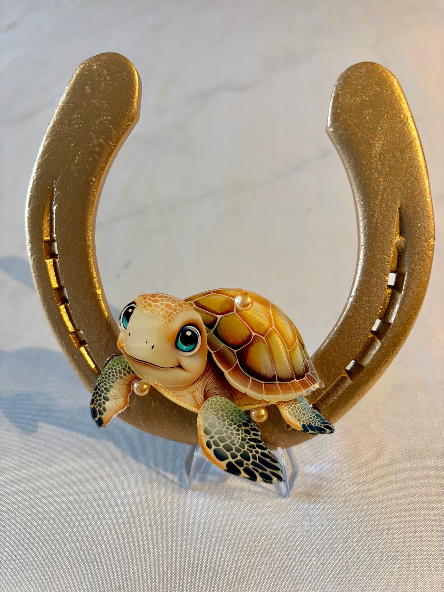 fer à cheval et sa tortue