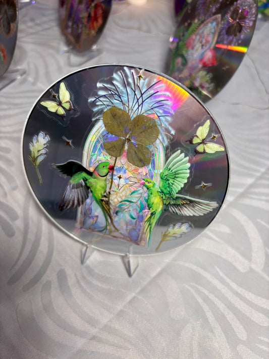 Cd trèfle à quatre feuilles avec ses perroquets