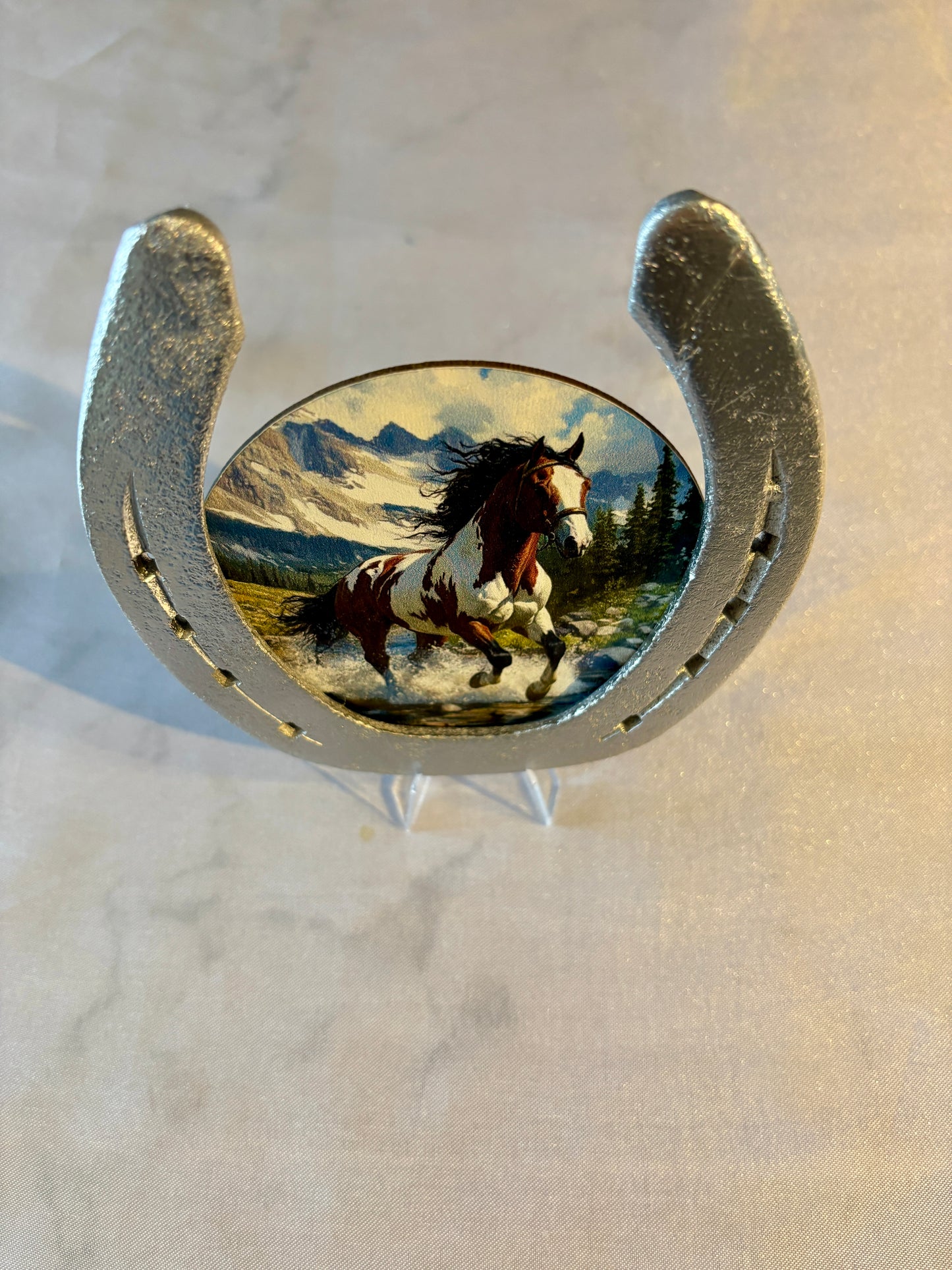 Fer à cheval / cheval