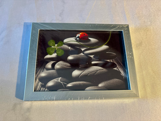 cadre trèfle à quatre feuilles /format A5coccinelle , porte bonheur